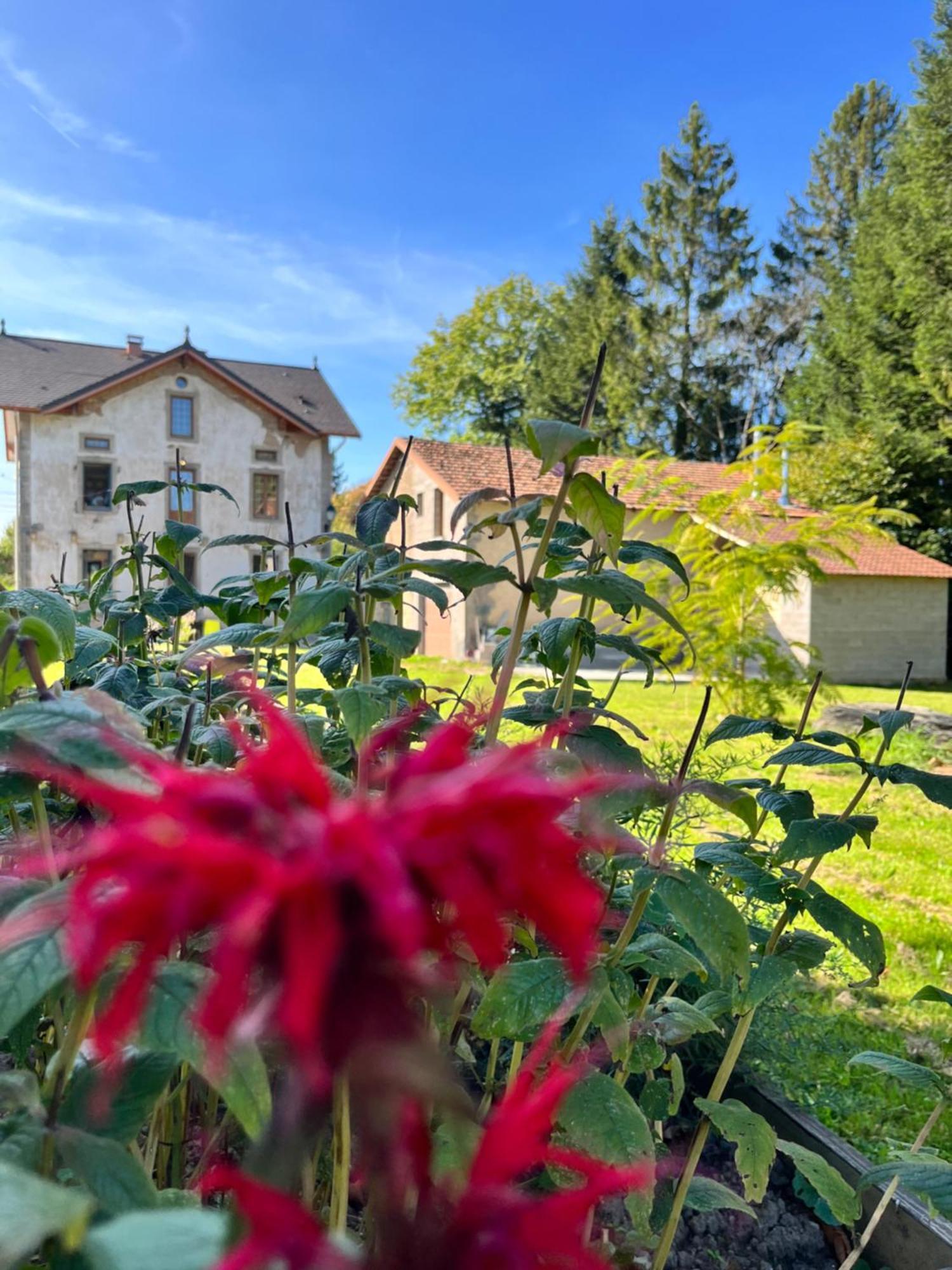 Chambre D'Hote Cosy Domaine Du Bagnerot La Chapelle-aux-Bois Eksteriør billede